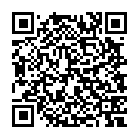 QR code for 6N4078