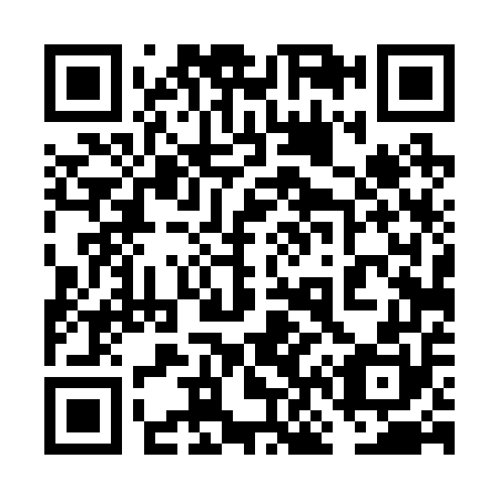 QR code for 6N4250