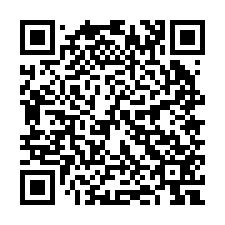 QR code for 6N5253