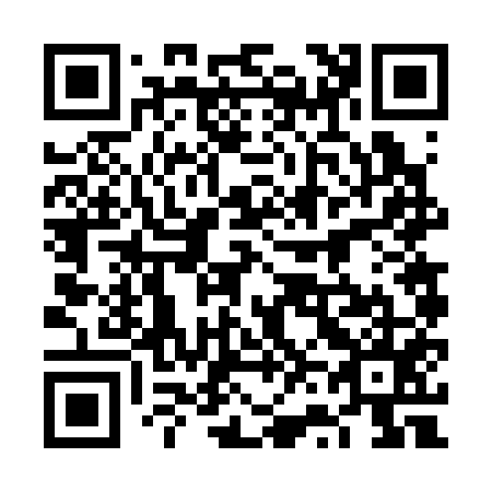 QR code for 6V6355