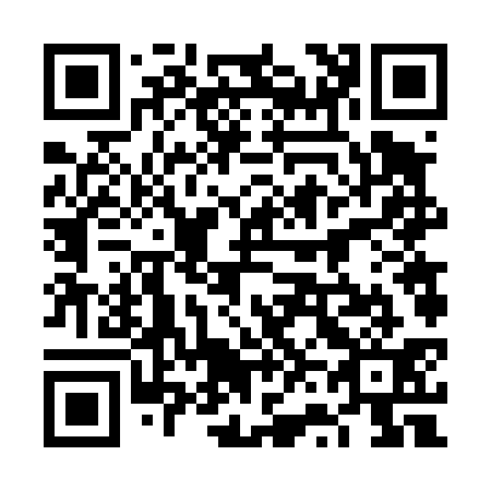 QR code for 6V6431