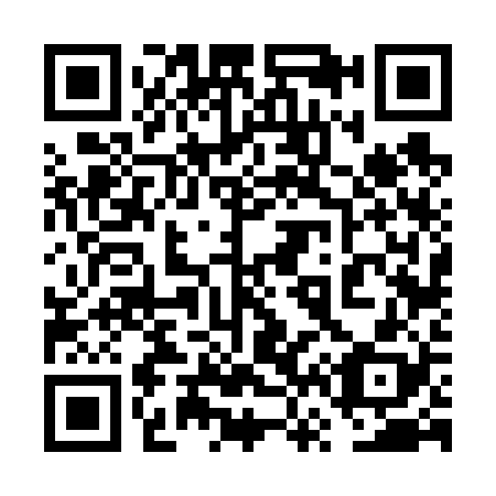 QR code for 6V6628