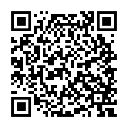 QR code for 6Z0383