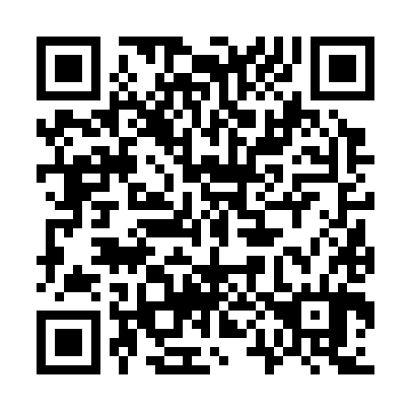 QR code for 706384