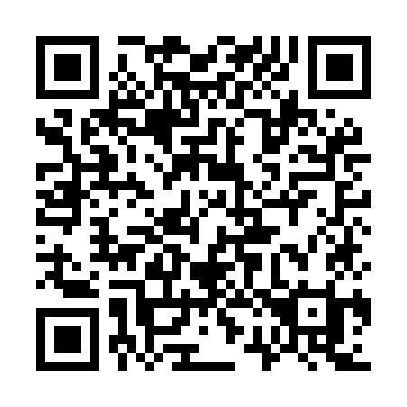 QR code for plate 729-MKI