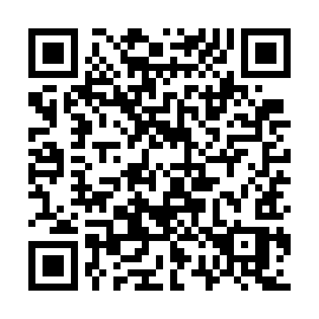 QR code for 729WIS