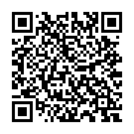 QR code for 737PRJ
