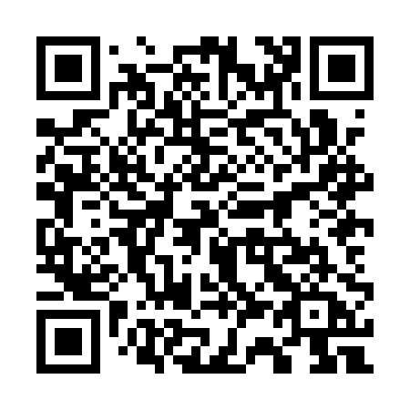 QR code for 738-APA