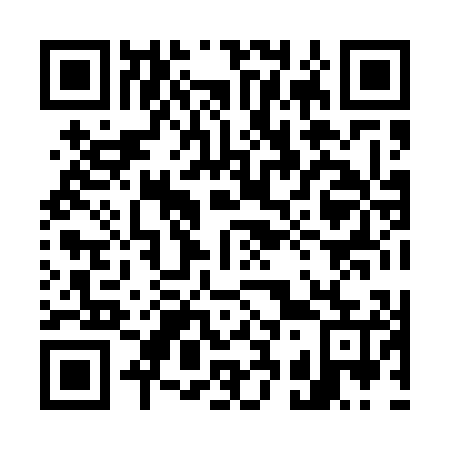 QR code for 738505