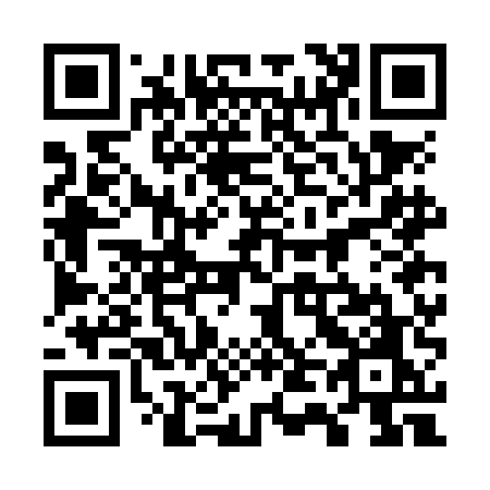 QR code for plate 747-NEO