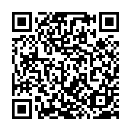 QR code for 787803