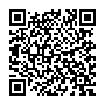 QR code for plate 807-MIV