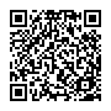 QR code for plate 810-PFE