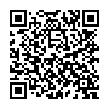 QR code for 819-NPX