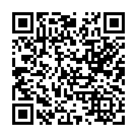 QR code for 838393