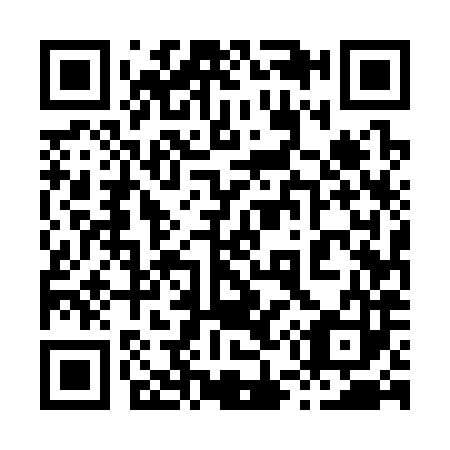 QR code for 855383