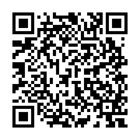 QR code for 863381