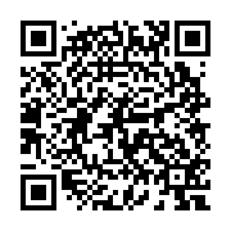 QR code for 870313