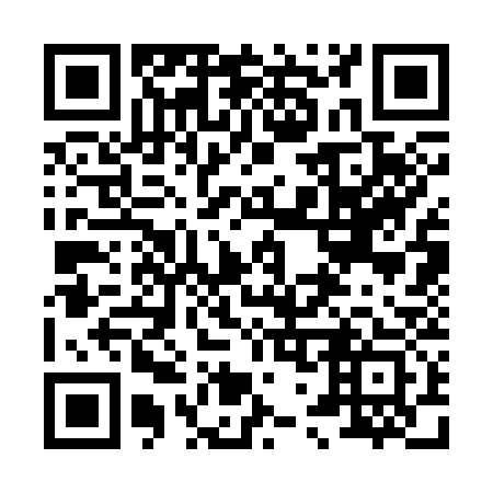 QR code for 873333