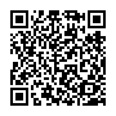 QR code for 905-VIZ