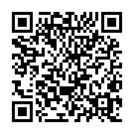 QR code for 913-IMM