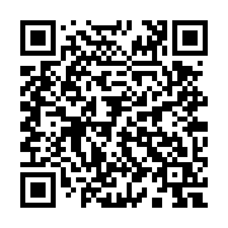 QR code for 913-TYS