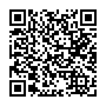 QR code for plate 913-FID