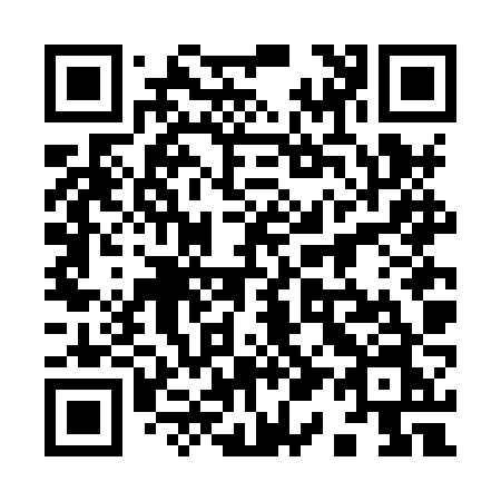 QR code for plate 916-HZN
