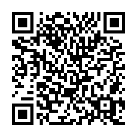 QR code for 919-HOG