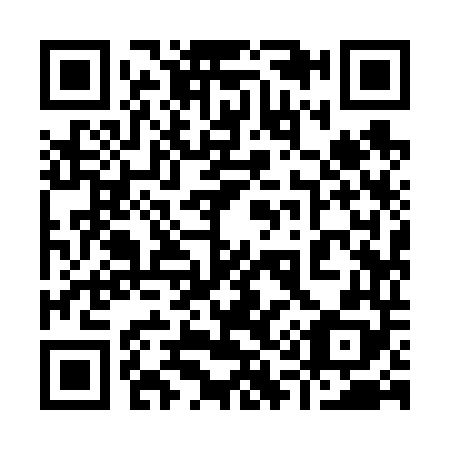 QR code for 919648
