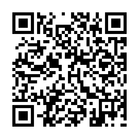 QR code for 919905