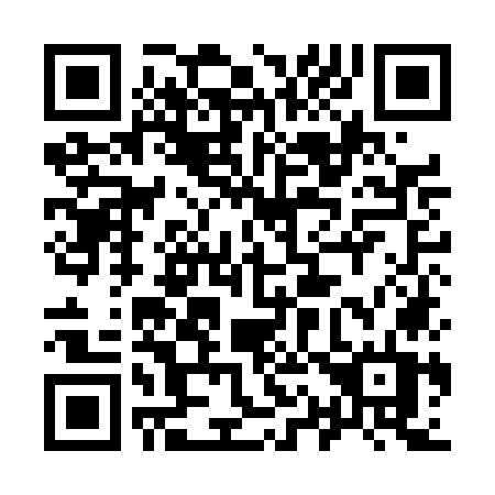 QR code for 919DOT
