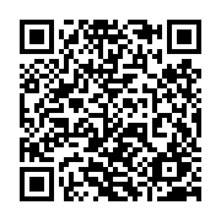 QR code for 919DZT