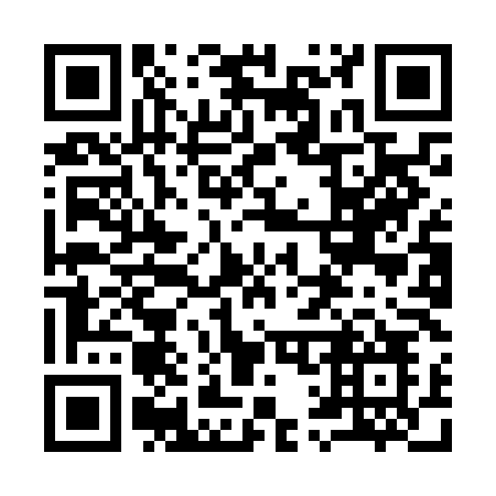 QR code for 919NLO