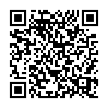 QR code for plate 919-VWR