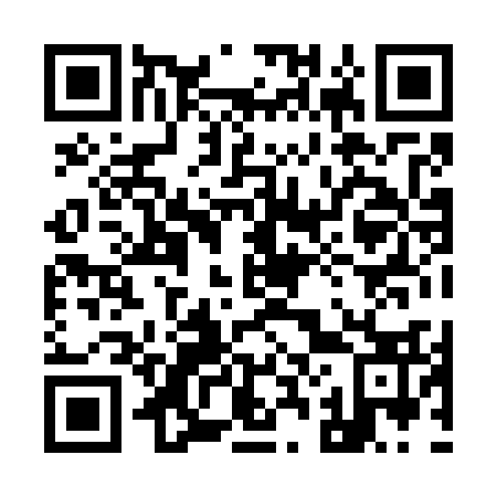 QR code for 928733