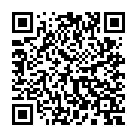QR code for plate 950-FNV