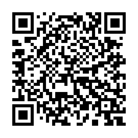 QR code for 953-DLP