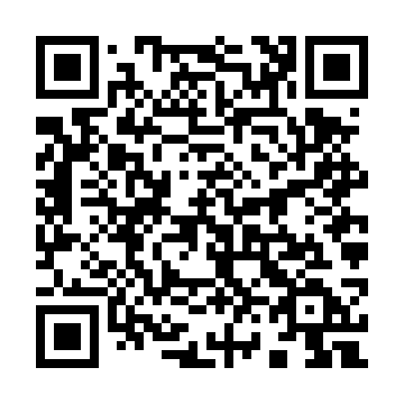 QR code for 966DSD
