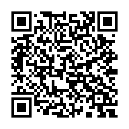 QR code for plate 968-PPV