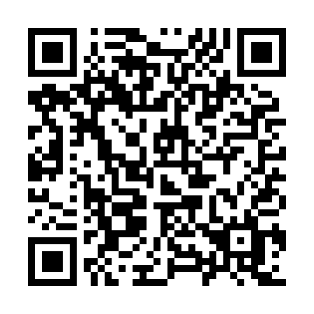 QR code for 991-XAL