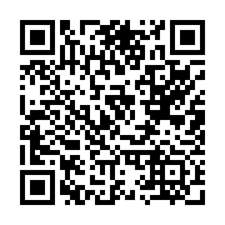 QR code for 991073