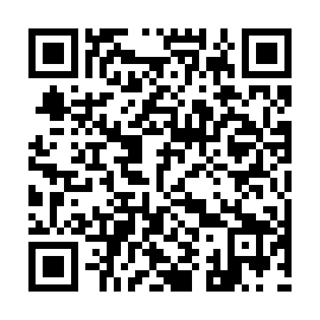 QR code for 991209