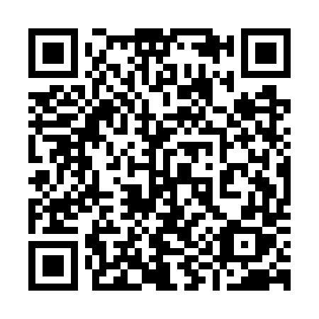 QR code for plate 991-GTX