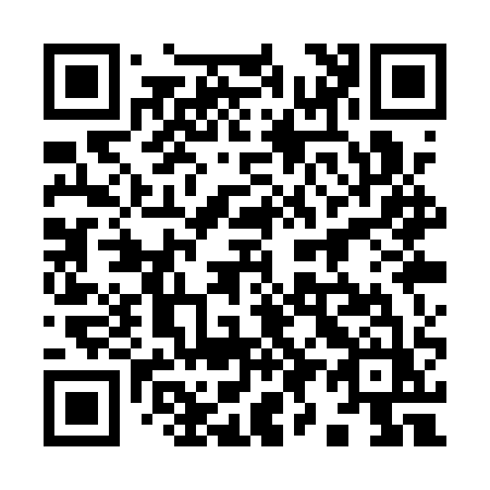 QR code for plate 991-QQZ