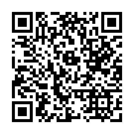 QR code for 993-IFO