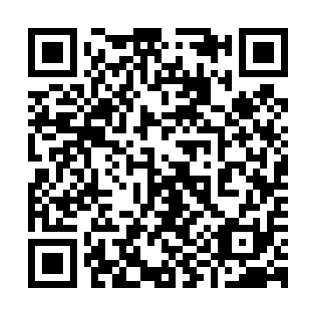 QR code for 993411