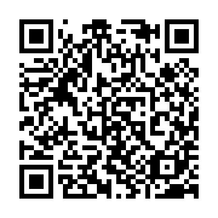 QR code for 995081