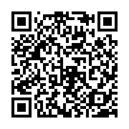 QR code for 996338