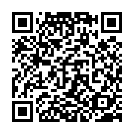 QR code for 9H9528